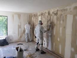 Trusted Holly Springs, MS Mold Removal Services Experts